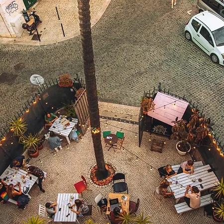 Oasis Backpackers' Cowork & Coliving Хостел *