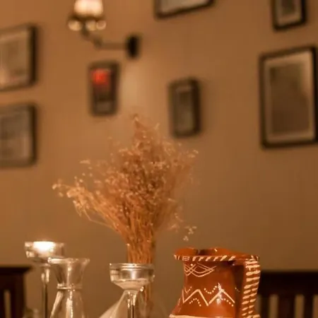 Oasis Backpackers' Cowork & Coliving