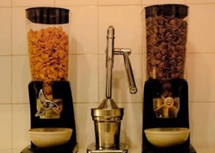 Oasis Backpackers' Cowork & Coliving