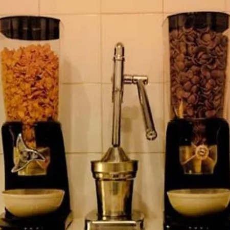 Oasis Backpackers' Cowork & Coliving